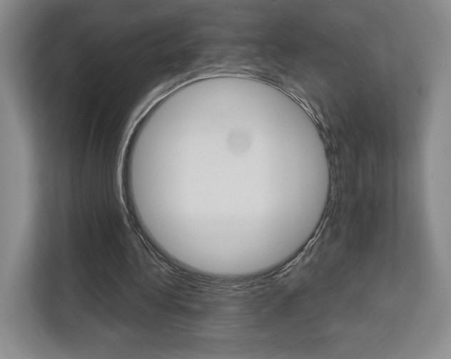 X0000113080340200908280951
