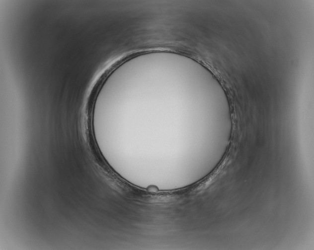 X0000113080342200908280951