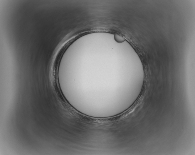 X0000113080343200908280951