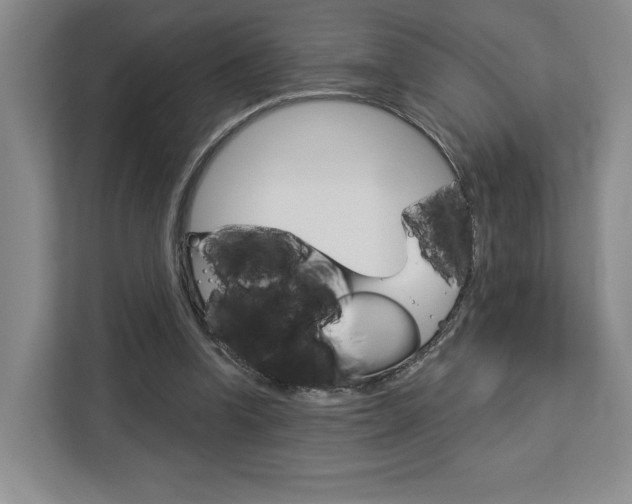 X0000113080346200908280952