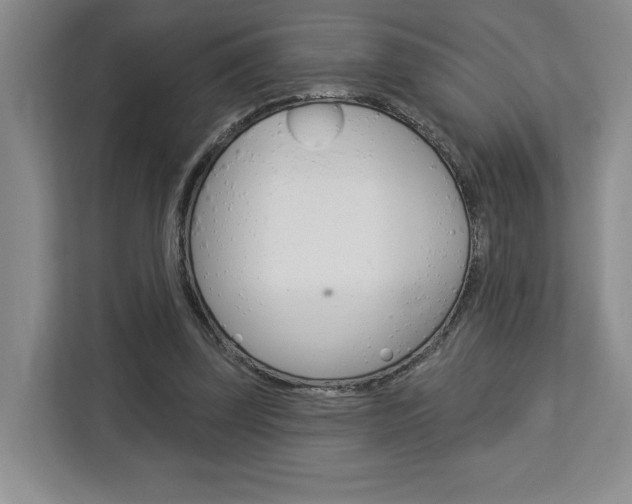 X0000113080347200908280952