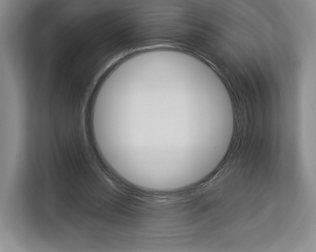 X0000113080350200908280952