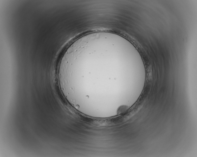 X0000113080351200908280952