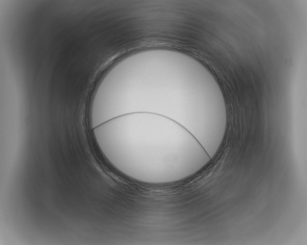 X0000113080352200908280952