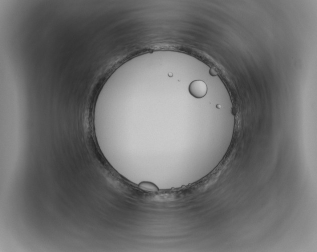 X0000113080353200908280952