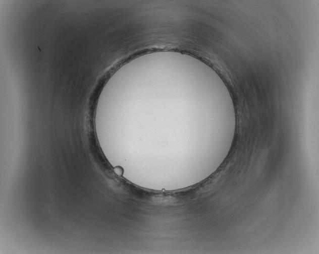 X0000113080354200908280952