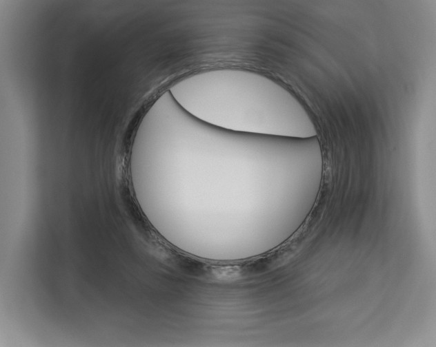 X0000113080355200908280952
