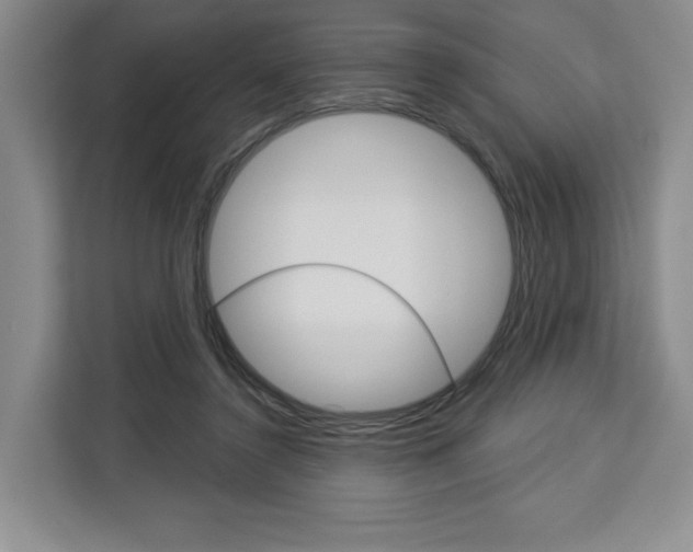 X0000113080356200908280952