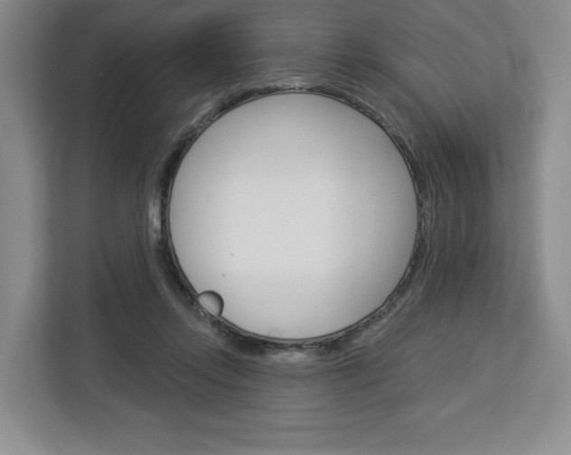 X0000113080358200908280952