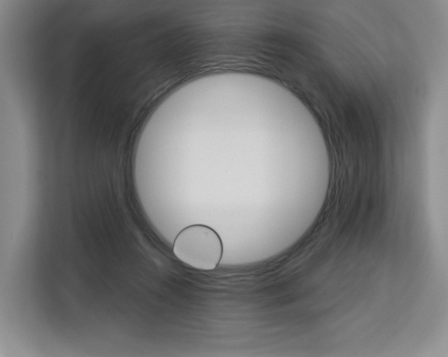 X0000113080360200908280952