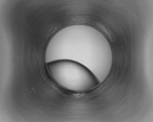 X0000113080362200908280952