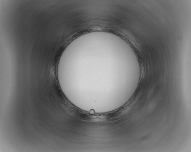X0000113080363200908280952