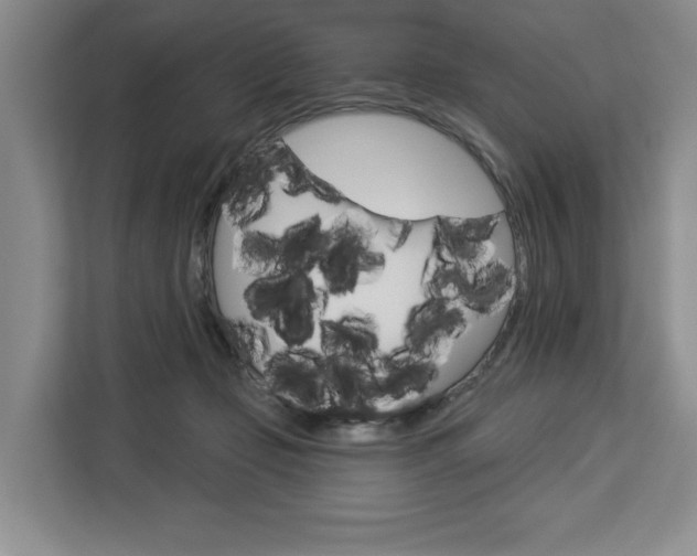 X0000113080365200908280952
