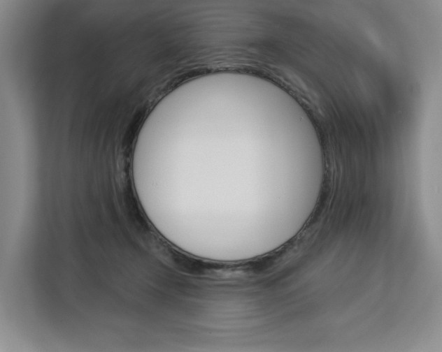 X0000113080366200908280952