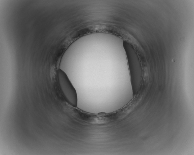 X0000113080372200908280952