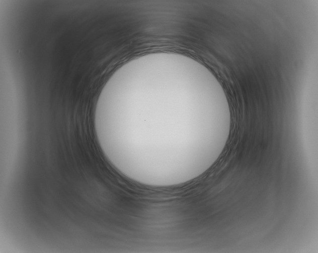X0000113080376200908280952
