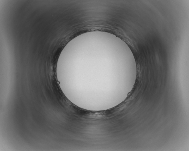 X0000113080378200908280952