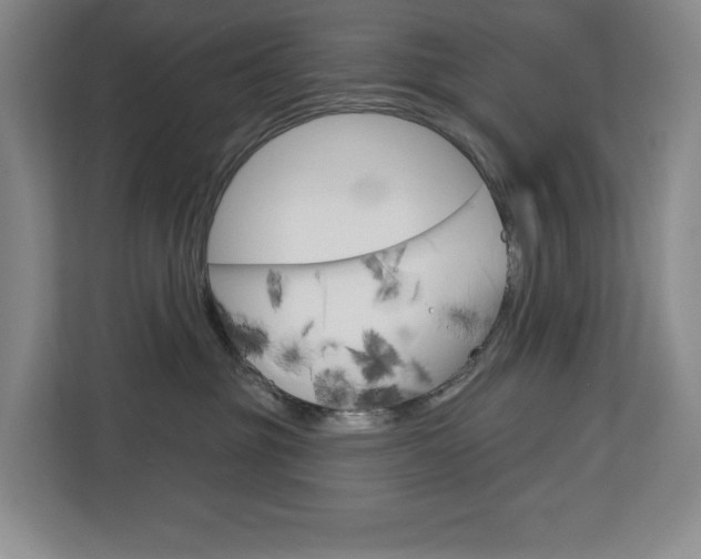 X0000113080381200908280952