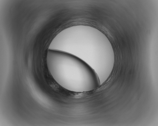 X0000113080382200908280952