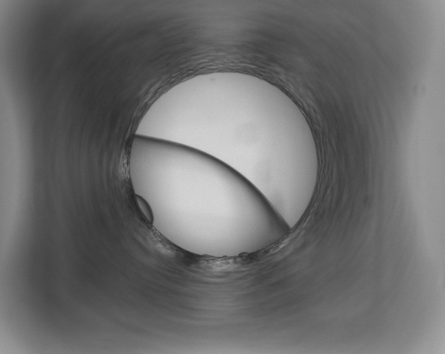 X0000113080384200908280952