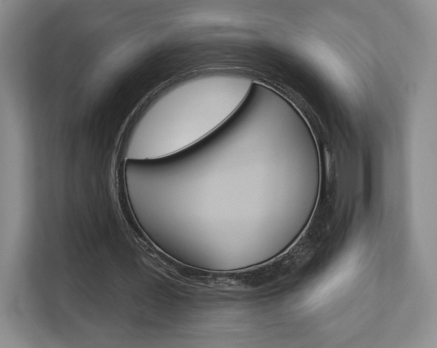 X0000113080387200908280951