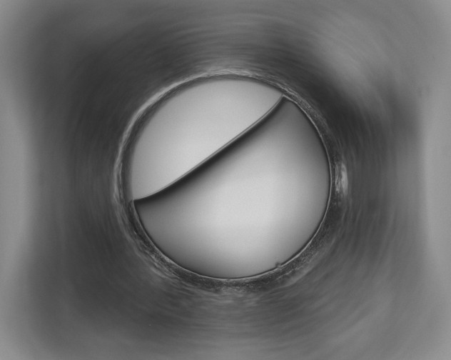 X0000113080388200908280951