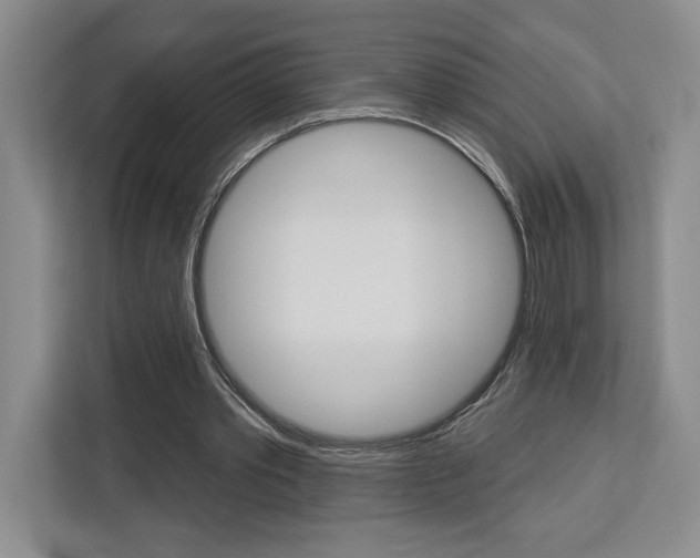 X0000113080389200908280951