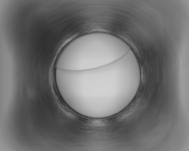 X0000113080390200908280951