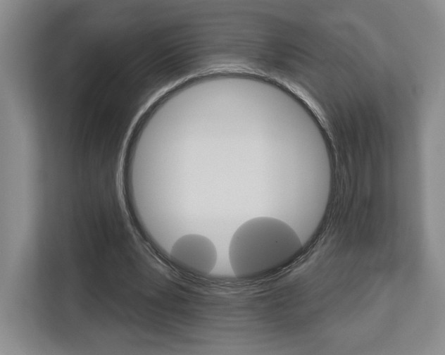 X0000113080391200908280951