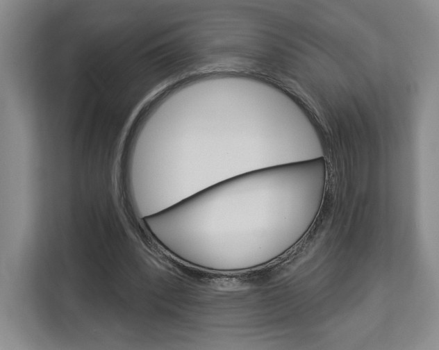X0000113080392200908280951