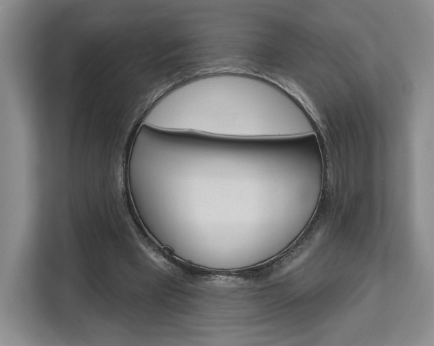 X0000113080393200908280951
