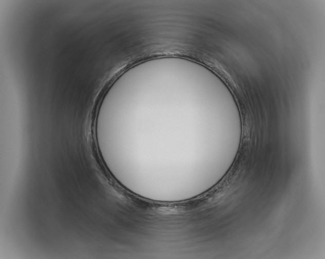 X0000113080394200908280951