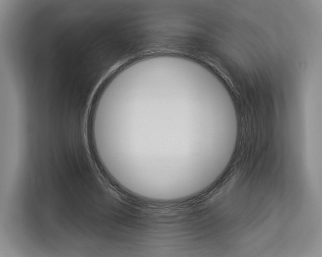 X0000113080395200908280951