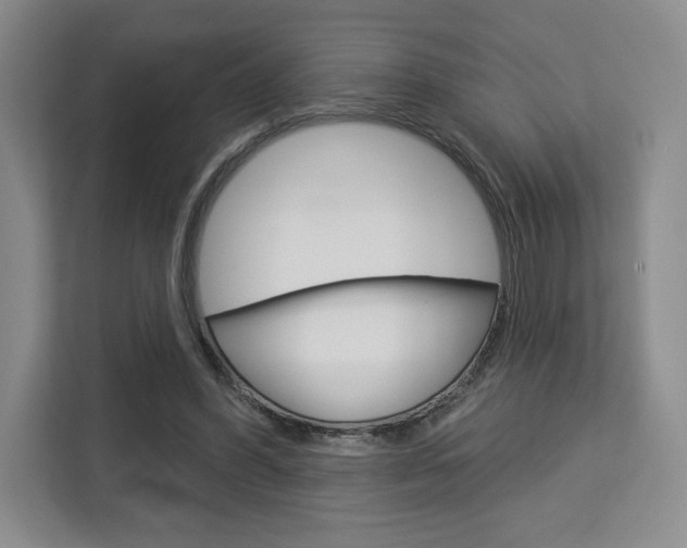 X0000113080396200908280951