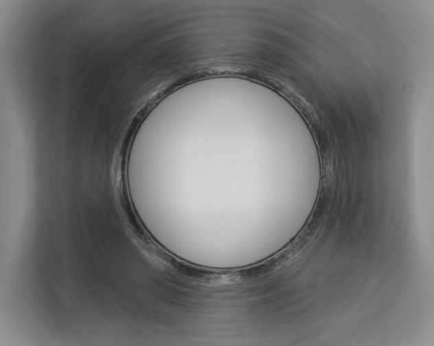 X0000113080398200908280951