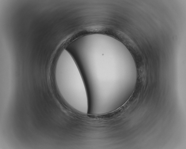 X0000113080400200908280951