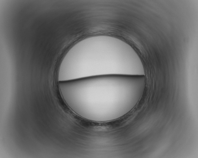 X0000113080404200908280951