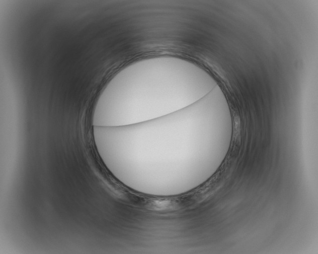 X0000113080406200908280951