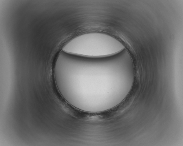 X0000113080407200908280951