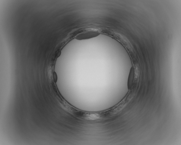 X0000113080409200908280951