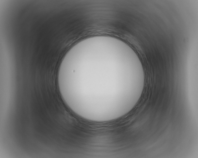 X0000113080415200908280951