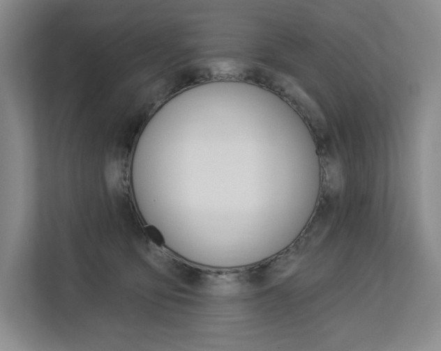 X0000113080419200908280951
