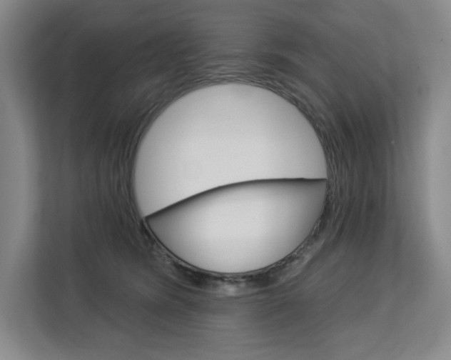 X0000113080420200908280951