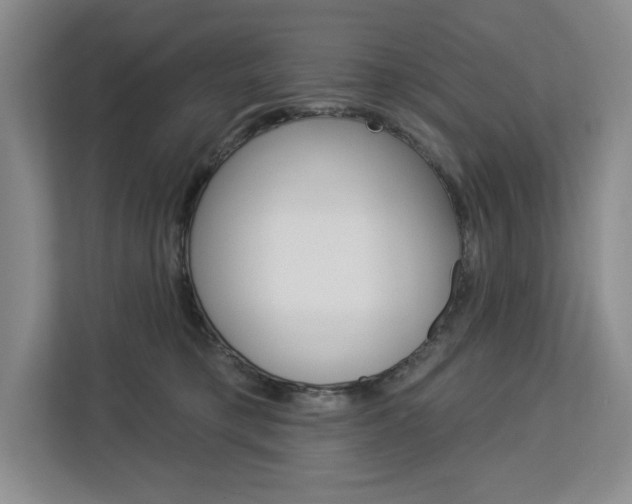 X0000113080421200908280951