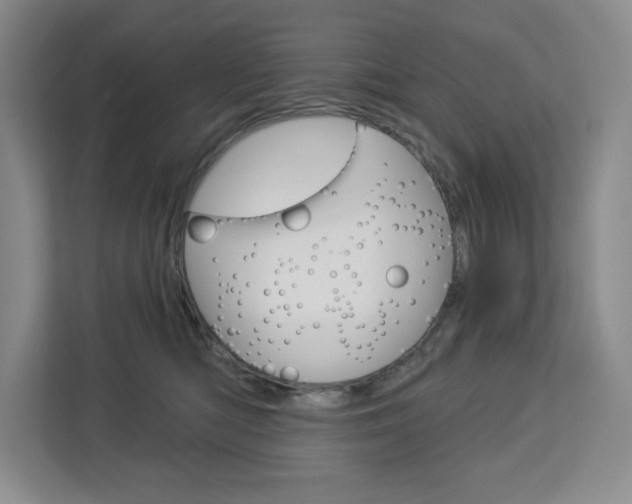 X0000113080422200908280951