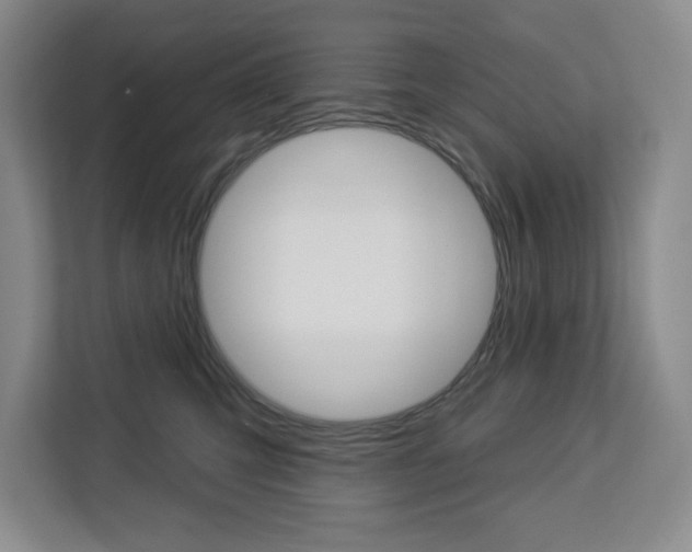 X0000113080423200908280951