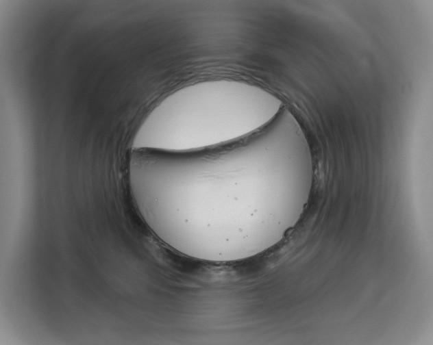 X0000113080424200908280951