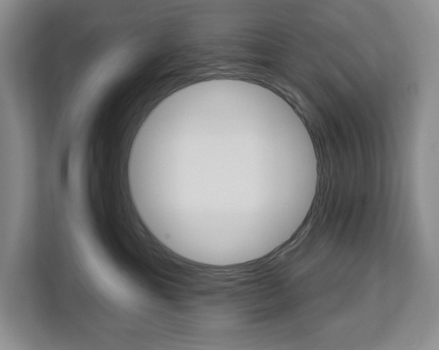 X0000113080429200908280951