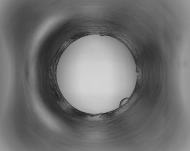 X0000113080430200908280951