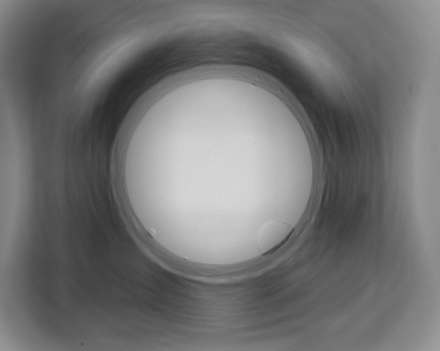 X0000113080431200908280951